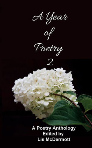 A Year Of Poetry 2 - 2022 ? 2023