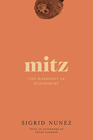 Mitz: The Marmoset Of Bloomsbury