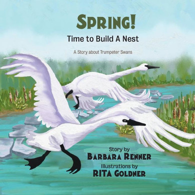 Spring! Time To Build A Nest, A Story About Trumpeter Swans
