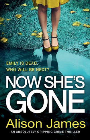 Now She'S Gone: An Absolutely Gripping Crime Thriller