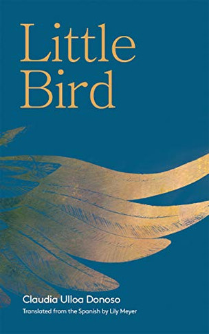 Little Bird - 9781646050659
