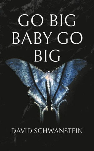 Go big baby go big : Wie Sie als Big Player das Spiel des Lebens gewinnen und die Welt retten