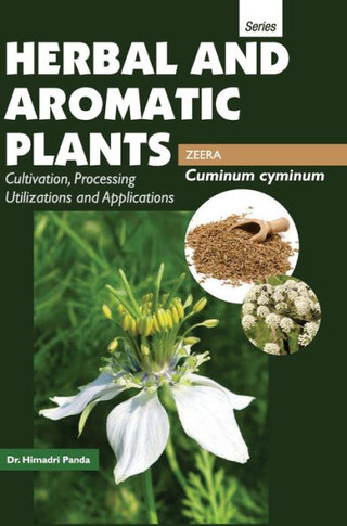 HERBAL AND AROMATIC PLANTS - Cuminum Cyminum (ZEERA)