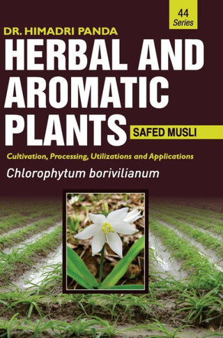 HERBAL AND AROMATIC PLANTS - 44. Chlorophytum Borivilianum (Safed Musli)