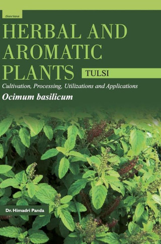 HERBAL AND AROMATIC PLANTS - Ocimum Basilicum (TULSI)