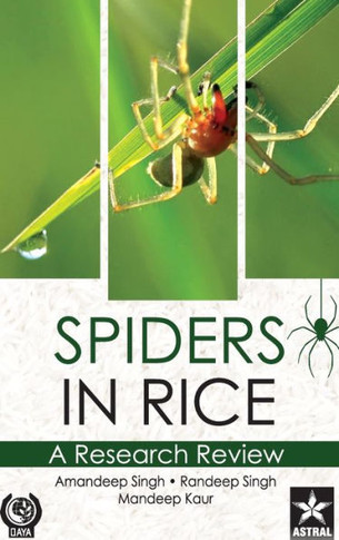 Spiders in Rice : A Research Review