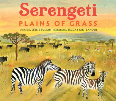 Serengeti : Plains of Grass
