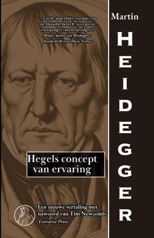 Hegels concept van ervaring