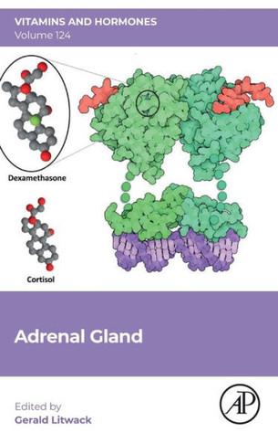 Adrenal Gland