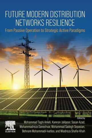 Future Modern Distribution Networks Resilience : From Passive Operation to Strategic Active Paradigms