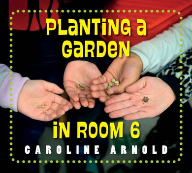 Planting a Garden in Room 6 : From Seeds to Salad