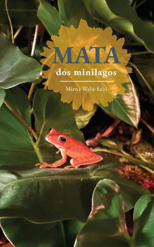 MATA dos minilagos