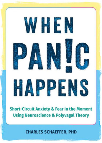 When Panic Happens : Short-Circuit Anxiety and Fear in the Moment Using Neuroscience and Polyvagal Theory