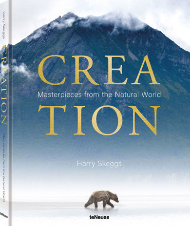 Creation : Masterpieces from the Natural World
