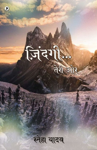 Zindagi Teri Aur