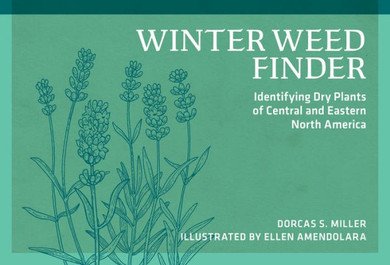 Winter Weed Finder : Identifying Dry Plants of Central and Eastern North America