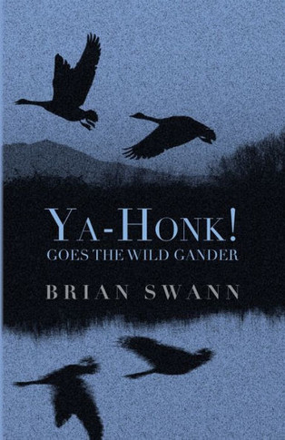Ya-Honk! Goes the Wild Gander : Or Covid Divagations