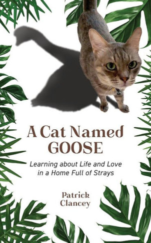 A Cat Named Goose : Learning about Life and Love in a Home Full of Strays