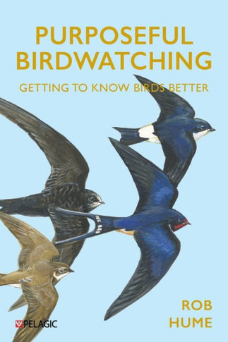 Purposeful Birdwatching : Getting to Know Birds Better