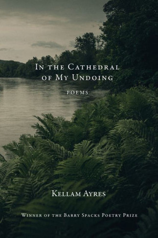 In the Cathedral of My Undoing : Poems