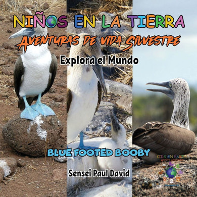 Nin~os en la Tierra - Aventuras de vida Silvestre - Explora el Mundo Blue Footed Booby - Ecuador