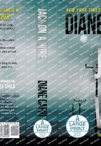Jack on a Wire Large Print Hardcover Edition : The Hunt for Jack Reacher Series