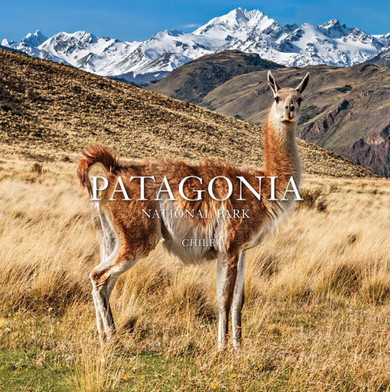Patagonia National Park : Chile