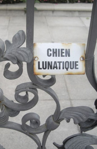 Chien Lunatique: Poems (Caveat Lector Book)