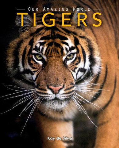 Tigers: Amazing Pictures & Fun Facts On Animals In Nature