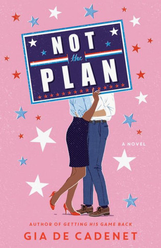 Not The Plan: A Novel