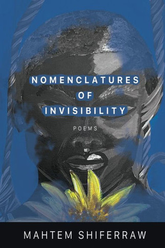 Nomenclatures of Invisibility (American Poets Continuum Series, 200)
