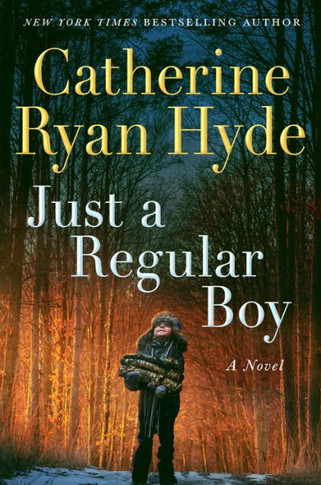 Just A Regular Boy: A Novel