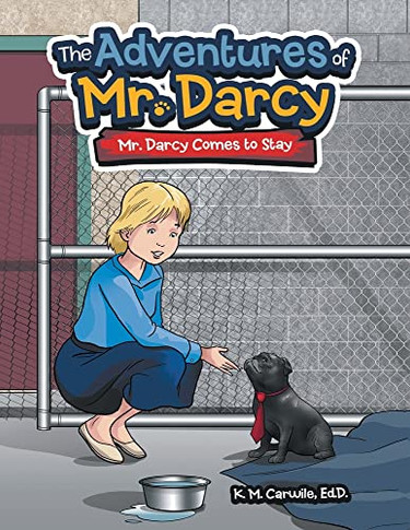 The Adventures of Mr. Darcy: Mr. Darcy Comes to Stay