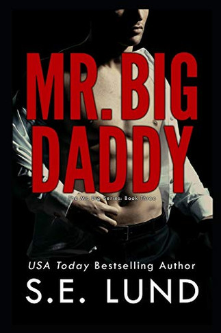 Mr. Big Daddy : The Mr. Big Series: Book Three
