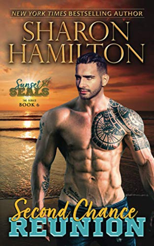 Second Chance Reunion: Meeting Ainsley (Sunset Seals)