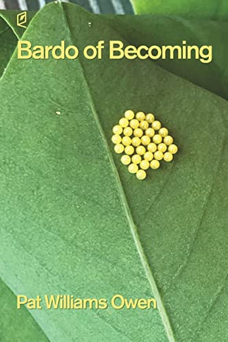 Bardo Of Becoming