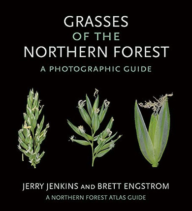 Grasses of the Northern Forest: A Photographic Guide (The Northern Forest Atlas Guides)