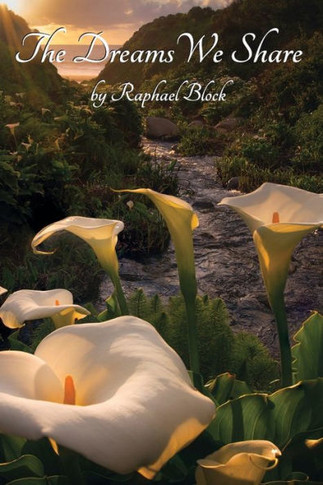 The Dreams We Share - 9781636496948