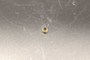 Marel Replacement Part - Sleeve:Cmprsn,Nut,5/16"-24 - OEM Number 10280080