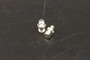 Jarvis Replacement Part - Stud, Male Double Ends - OEM Number 1027004