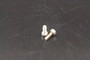 Cryovac Replacement Part - Screw, M4 x 10 - OEM Number Packers Supply