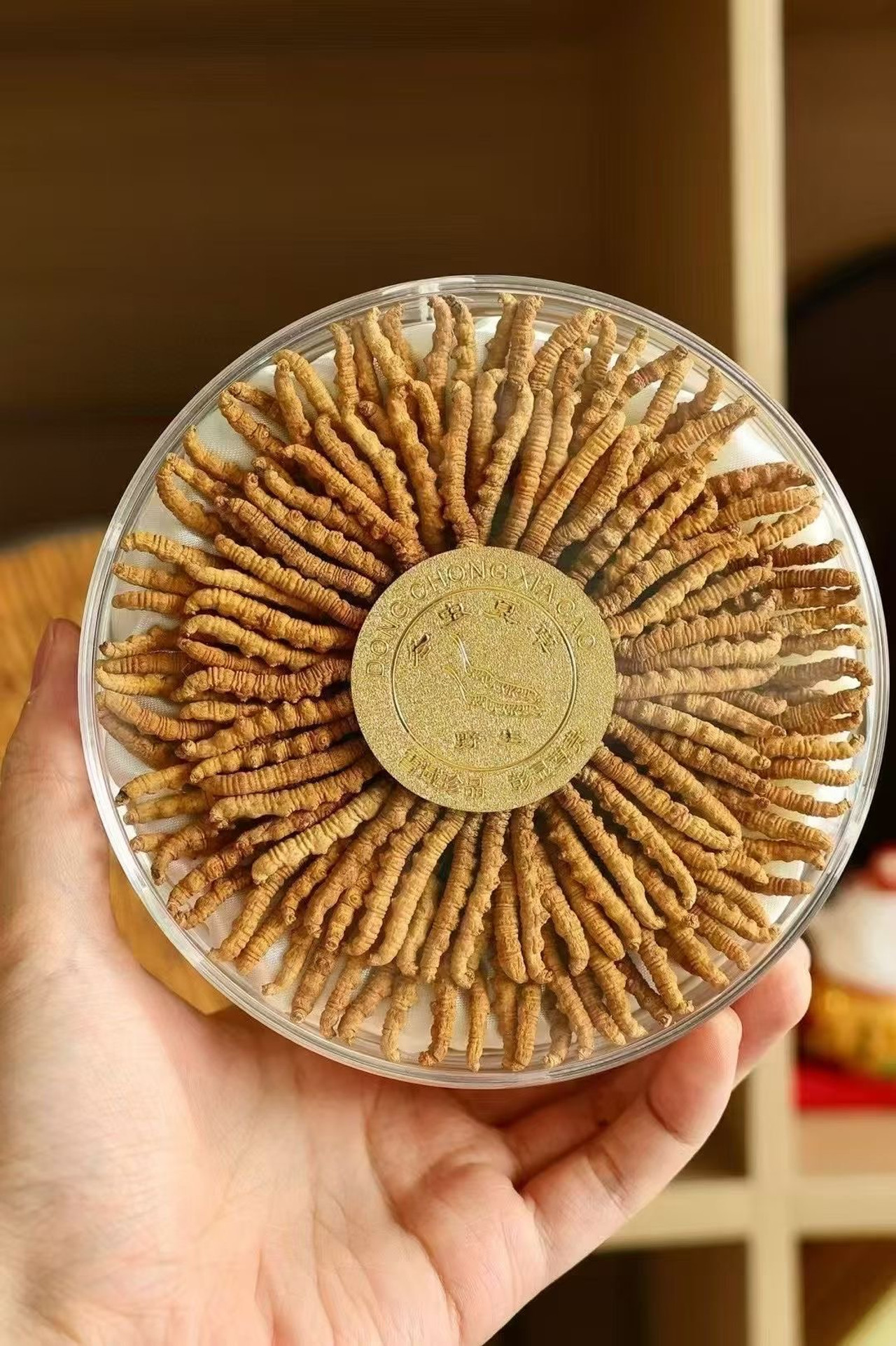 50-gram Cordyceps Sinensis Small Gift Box