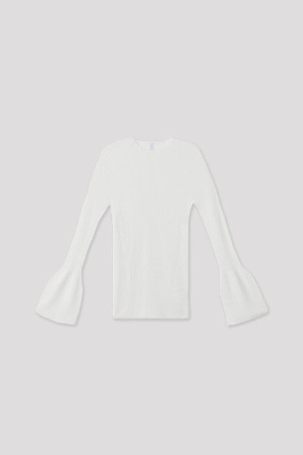 'white'