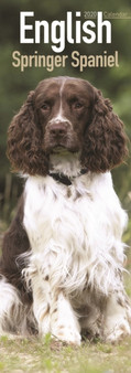 English Springer Spaniel Slim Calendar 2020 by Avonside Publishing Ltd - Paperback