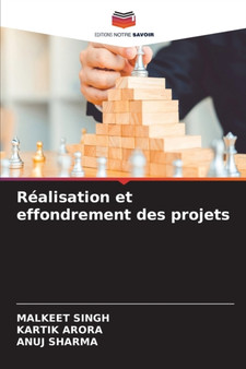 Realisation et effondrement des projets