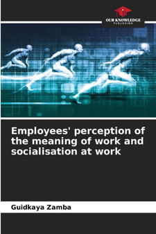 Employees' perception of the meaning of work and socialisation at work