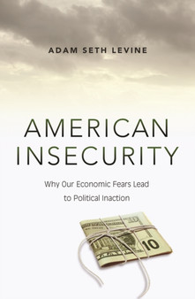 American Insecurity : Why Our Economic Fears Lead to Political Inaction