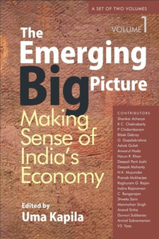The Emerging Big Picture : Making Sense of India's Economy