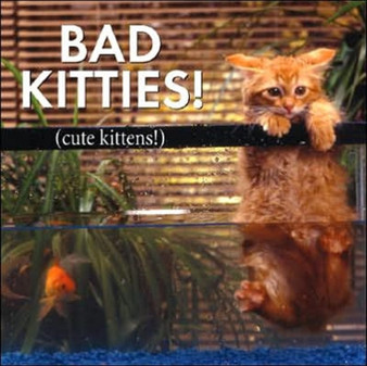Bad Kitties by Willow Creek Press - Hardback