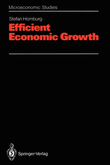 Efficient Economic Growth